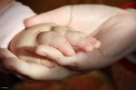 hand_holding_baby_hand-other